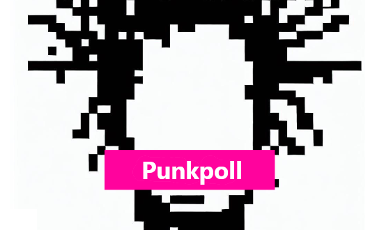 🛡️ Secure and Transparent Democracy, PunkPoll